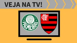 Palmeiras x Flamengo ao vivo: saiba como assistir ao jogo na TV