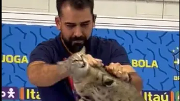 Gato invade coletiva de Vini Jr, vira mascote da seleção e é batizado de “Hexa”