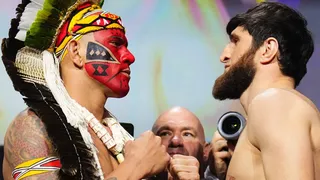 UFC 313: Poatan x Ankalaev – Todos os resultados