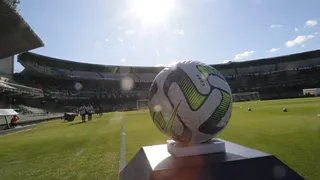 Bestiário do futebol brasileiro