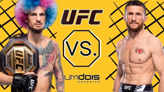 UFC 306: O’Malley x Dvalishvili – Dicas, palpites e prognósticos – 14/09/2024