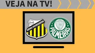 Novorizontino x Palmeiras ao vivo: saiba como assistir ao jogo na TV