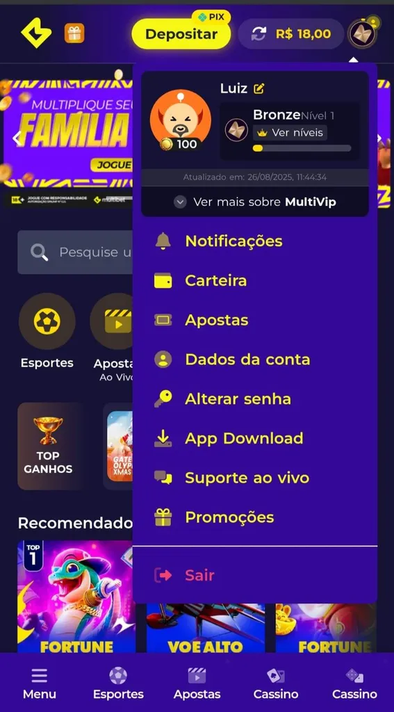 Plataforma Multibet com menu da conta expandido e seções de pagamentos, notificações, nível no programa VIP e mais.
