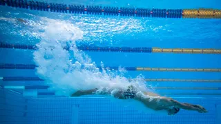 Fratus avança às semifinais dos 50m livre; Etiene é eliminada no feminino