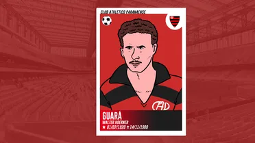 Guará, o polivalente 