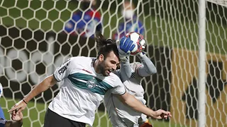 Campanha de preservação estampa marca na camisa do Coritiba. Entenda