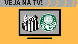 Santos x Palmeiras AO VIVO: saiba como assistir ao jogo na TV