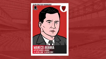 Manoel Aranha, o profissional 