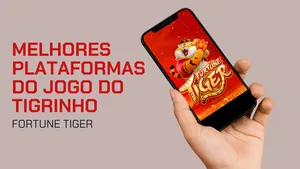 Fortune Ox: 7 melhores plataformas para jogar em 2025
