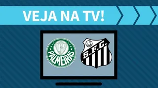 Palmeiras x Santos AO VIVO: como assistir na TV a final da Libertadores