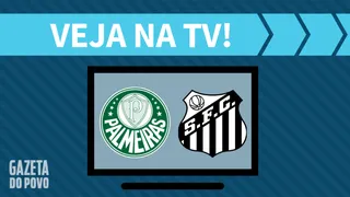 Palmeiras x Santos AO VIVO: saiba como assistir ao jogo na TV