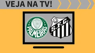 Palmeiras x Santos AO VIVO: saiba como assistir à semifinal na TV