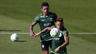 Desfalques e retornos: Coxa terá mudanças para encarar o Santos
