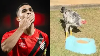 Galinha Alan Kardec: Atacante do Athletico recebe homenagem de ex-companheiro