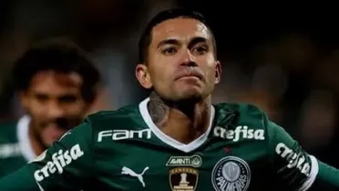 Ídolo do Palmeiras causa polêmica nas redes sociais e xinga presidente