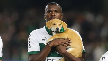 Emocionante! Coritiba surpreende e entra em campo com cachorros caramelos
