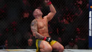 Apesar da derrota de Poatan, brasileiros roubam a cena no UFC 313