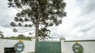 Justiça cancela leilão de terreno de futuro CT do Coritiba em Campina Grande do Sul