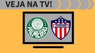 Palmeiras x Junior Barranquilla ao vivo: saiba como assistir ao jogo na TV