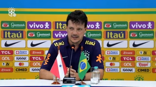 Fernando Diniz precisa sobreviver ao próprio hype para ter sucesso na seleção