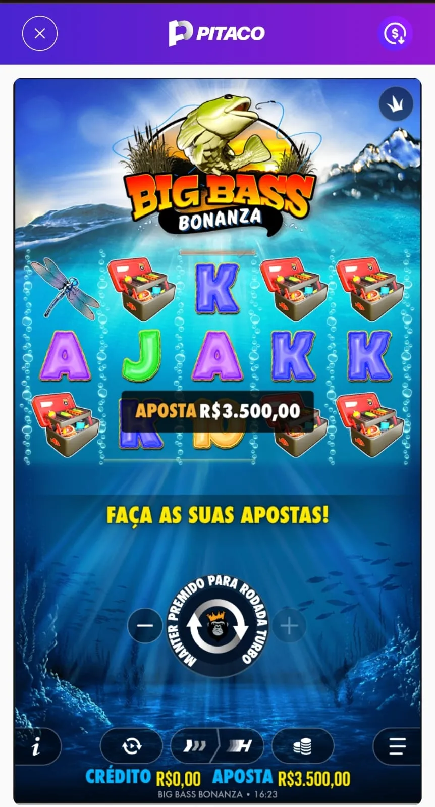 Big Bass Bonanza com aposta de R$ 3.500 na Pitaco
