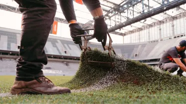 Athletico: Empresa do filho de Petraglia inicia troca do gramado sintético da Baixada
