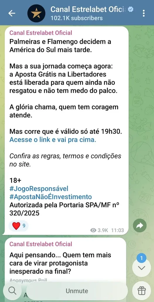 Oferta de aposta grátis para a final da Libertadores no grupo de apostas esportivas da Estrelabet.