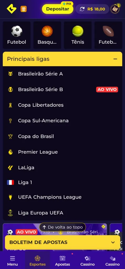 Lista de competições de futebol que a Multibet oferece na plataforma, incluindo Brasileirão, Libertadores e Champions
