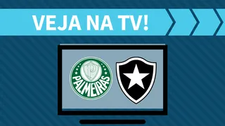 Palmeiras x Botafogo AO VIVO: saiba como assistir ao jogo na TV