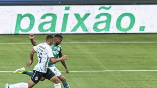 Palmeiras vence o Grêmio e é tetracampeão da Copa do Brasil