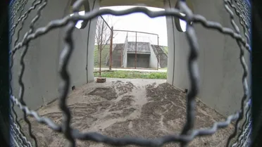 Paraná Clube: Por que a torcida pode ser pessimista com a negociação da SAF