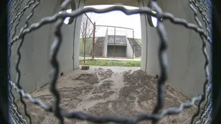 Paraná Clube: Por que a torcida pode ser pessimista com a negociação da SAF