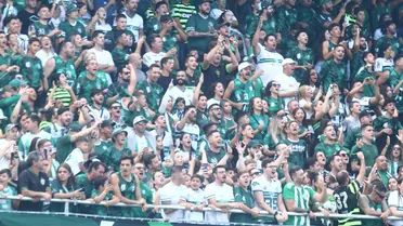Coritiba tem os melhores públicos da Série B e técnico exalta torcida