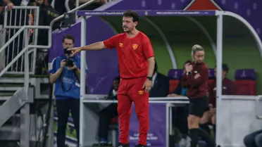 Diniz destaca teimosia e forte marcação como destaques do Fluminense para chegar à final