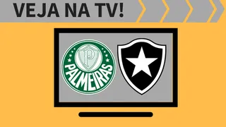 Botafogo x Palmeiras ao vivo: saiba como assistir ao jogo na TV