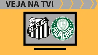 Santos x Palmeiras AO VIVO: saiba como assistir à semifinal na TV