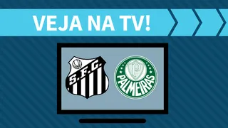 Santos x Palmeiras AO VIVO: saiba como assistir ao jogo na TV