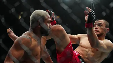 Ex-campeão, brasileiro despenca em ranking do UFC