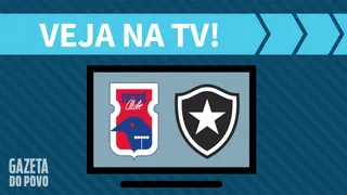 Paraná x Botafogo AO VIVO: saiba como assistir ao jogo na TV