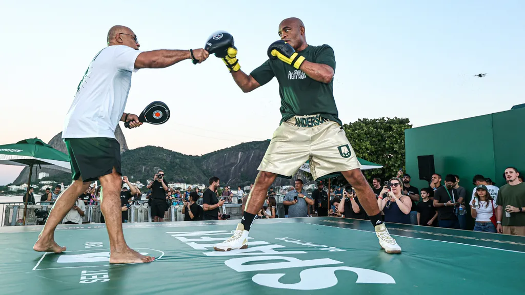 Anderson-silva