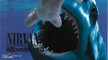 A dupla Atletiba e os tubarões do C13