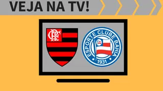 Flamengo x Bahia ao vivo: saiba como assistir ao jogo na TV