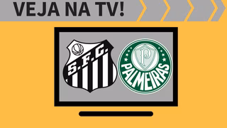 Santos x Palmeiras AO VIVO: saiba como assistir à semifinal na TV