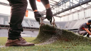 Athletico: Empresa do filho de Petraglia inicia troca do gramado sintético da Baixada