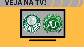 Palmeiras x Chapecoense AO VIVO: saiba como assistir ao jogo na TV