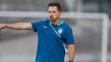 Ex-seleção, Ramon Menezes acerta como novo técnico do Athletico