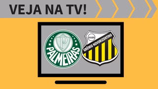 Palmeiras x Novorizontino AO VIVO: saiba como assistir ao jogo