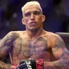 UFC 317: Sensação brasileira ignora rivalidade e se oferece para treinar com Charles do Bronx