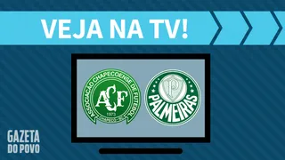 Chapecoense x Palmeiras AO VIVO: saiba como assistir ao jogo na TV
