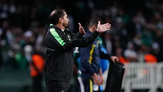 Morínigo lamenta briga entre torcidas de Coritiba x Palmeiras: “Questão social”